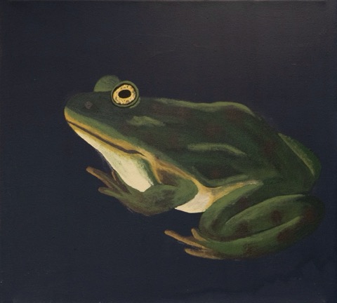 Frog