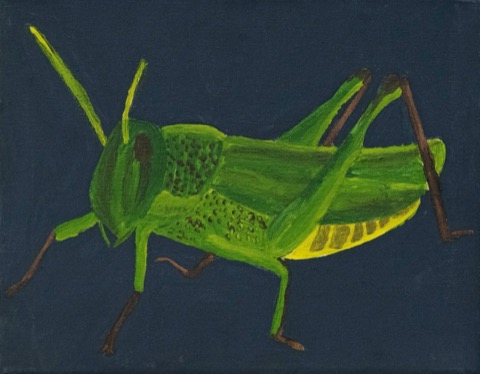 Grasshopper