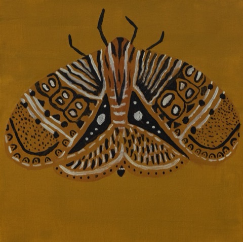 Moth