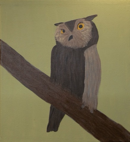Owl