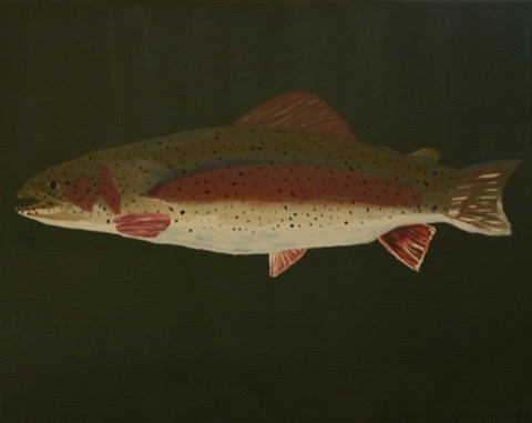 Rainbow Trout