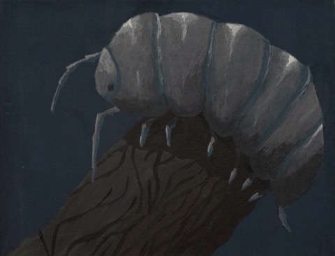 Rollie Pollie