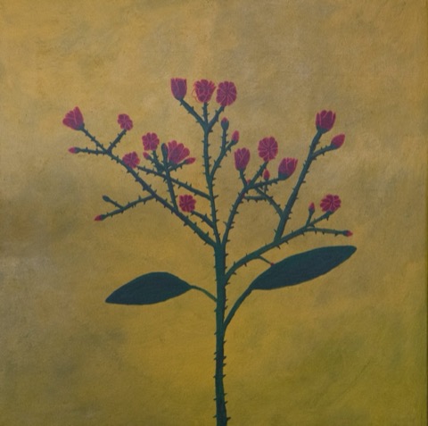 Wild Roses